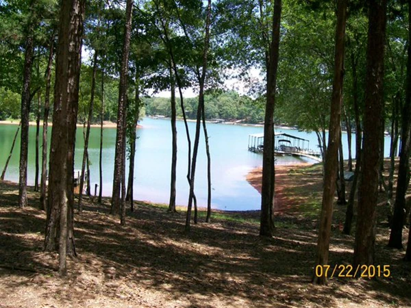 Tên trộm vừa thoát được cảnh sát thì bị cá sấu ăn thịt - Ảnh 3.