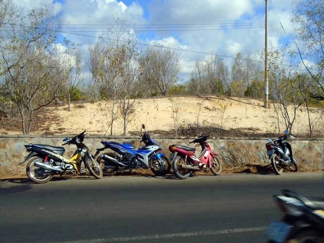 Bắt giữ nhóm thanh niên khống chế chồng hiếp dâm người vợ mang thai ảnh 1