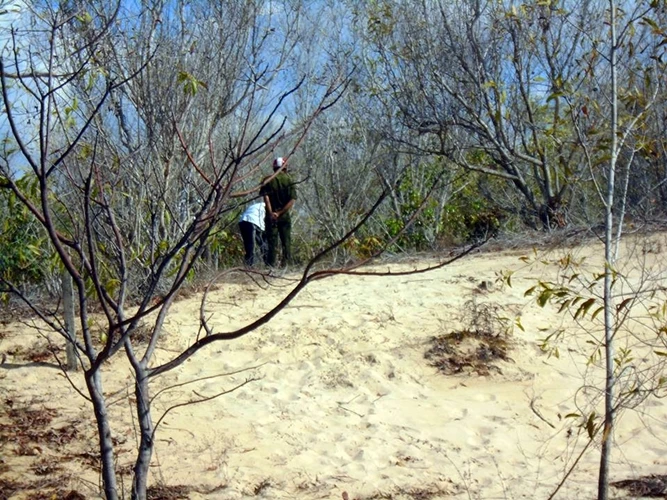 Bắt giữ nhóm thanh niên khống chế chồng hiếp dâm người vợ mang thai ảnh 2