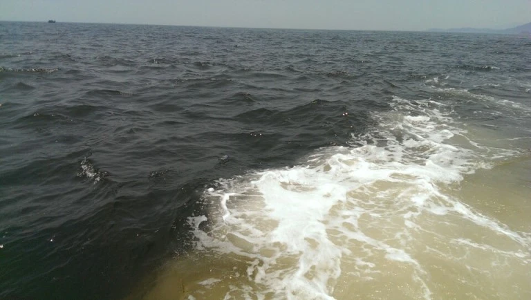 Hà Tĩnh: Ngư dân phát hiện dải nước biển màu sậm khác thường ảnh 2