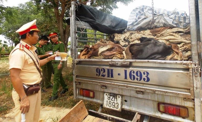 Gần bốn tấn da trâu, bò trên xe tải bị phát hiện và bắt giữ. Ảnh: CTV