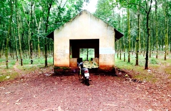 Hiện trường nơi xảy ra sự việc