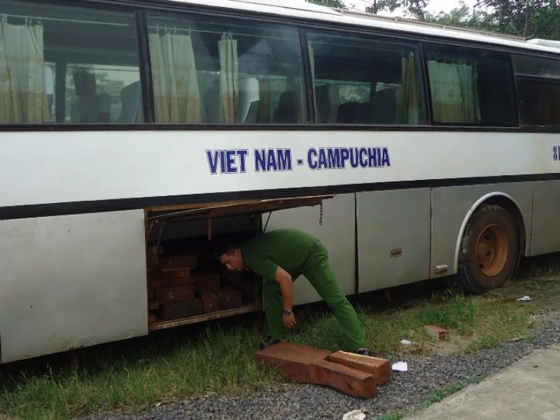 Gỗ lậu được giấu trong các khoang dưới gầm xe