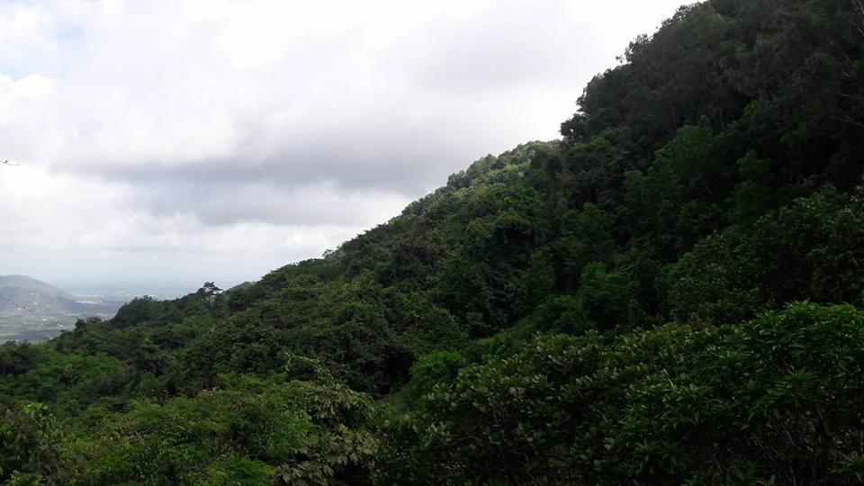 Đã tìm thấy vị trí máy bay rơi, 3 phi công đều tử nạn