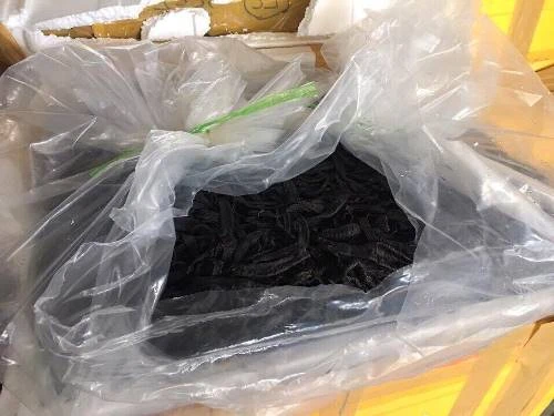 Số đỉa khô bị bắt