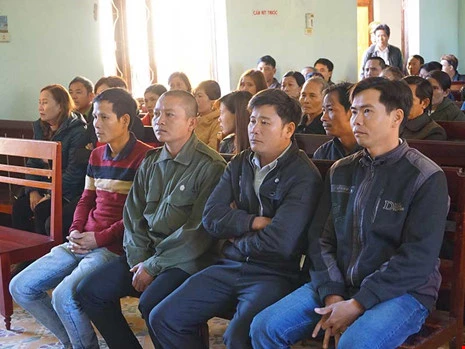 Chủ tọa giải thích lý do hoãn xử vụ cưa gỗ khô - ảnh 1