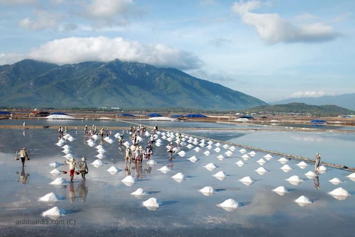 Chính sách mới có hiệu lực trong tháng 5-2017 (phần 2) ảnh 2