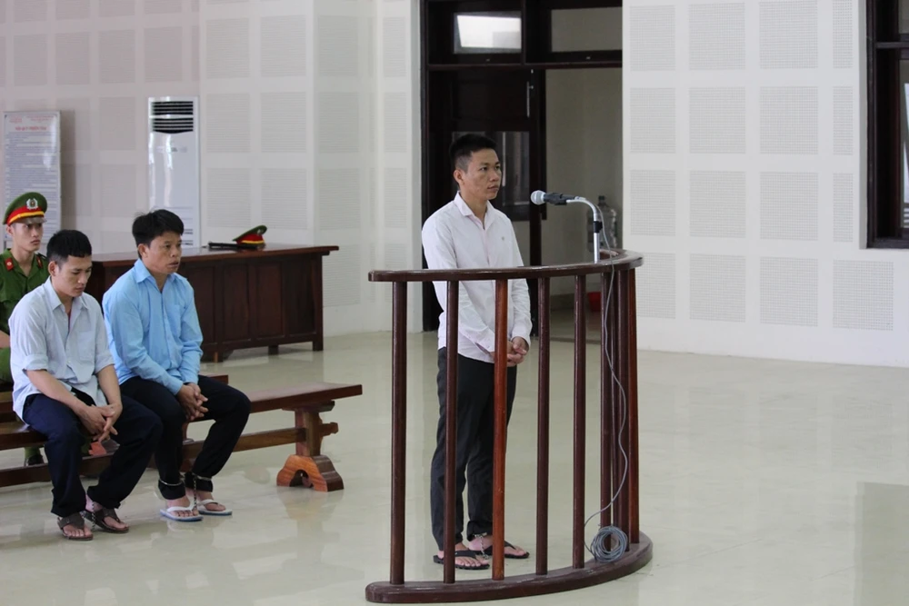 Không giảm án cho kẻ giết voọc trên núi Sơn Trà ảnh 1