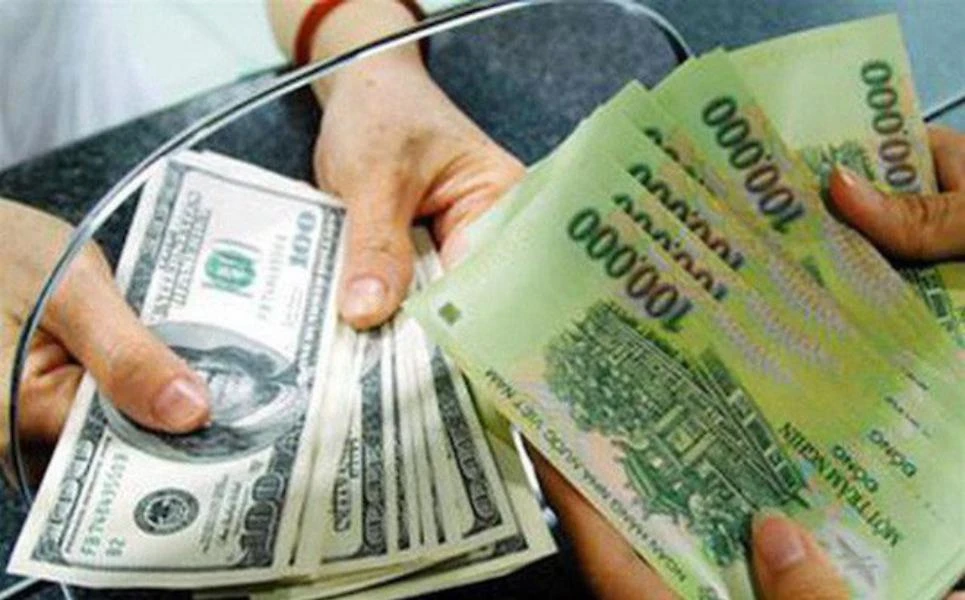 Từ vụ đổi 100 USD ở Cần Thơ, NHNN đề nghị sửa mức xử phạt ảnh 1