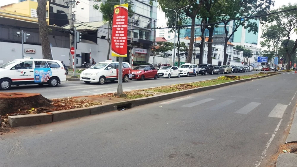 Ai là người đặt hoa hồng ở mỗi gốc cây bị chặt? ảnh 3