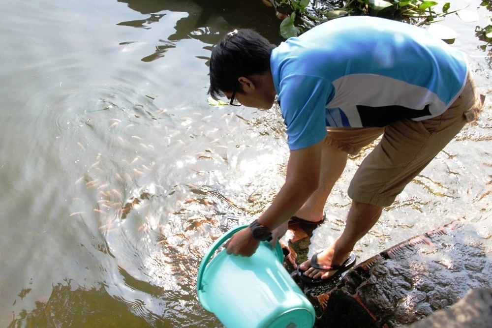 Nhiều người đã dùng xô thay cho bao ni lông đem cá ra sông thả để bảo vệ môi trường.