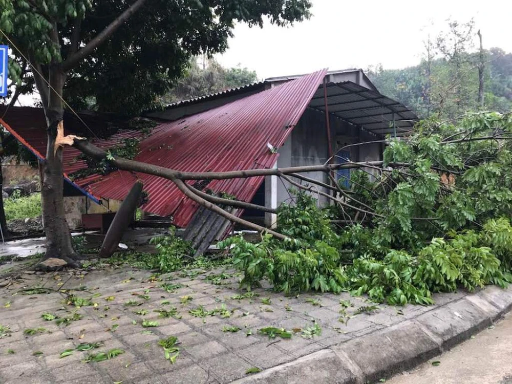 Bắc Kạn mưa đá và lốc lớn ảnh 1