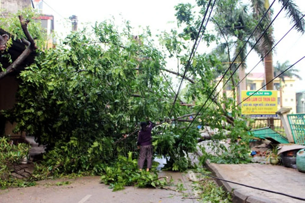 Bắc Kạn mưa đá và lốc lớn ảnh 3