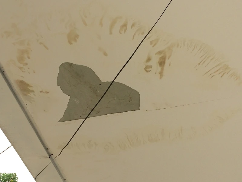 Người dân phát hiện bến buýt đường sông mới xong đã hư hại ảnh 5