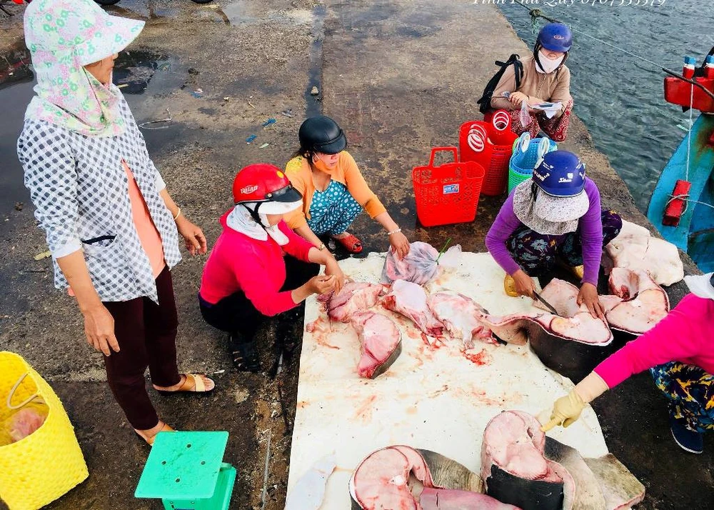 Dân thích thú với thịt cá mập giá 50 ngàn/kg ảnh 4