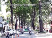 TP.HCM: Đường vắng hoe những ngày cận Tết