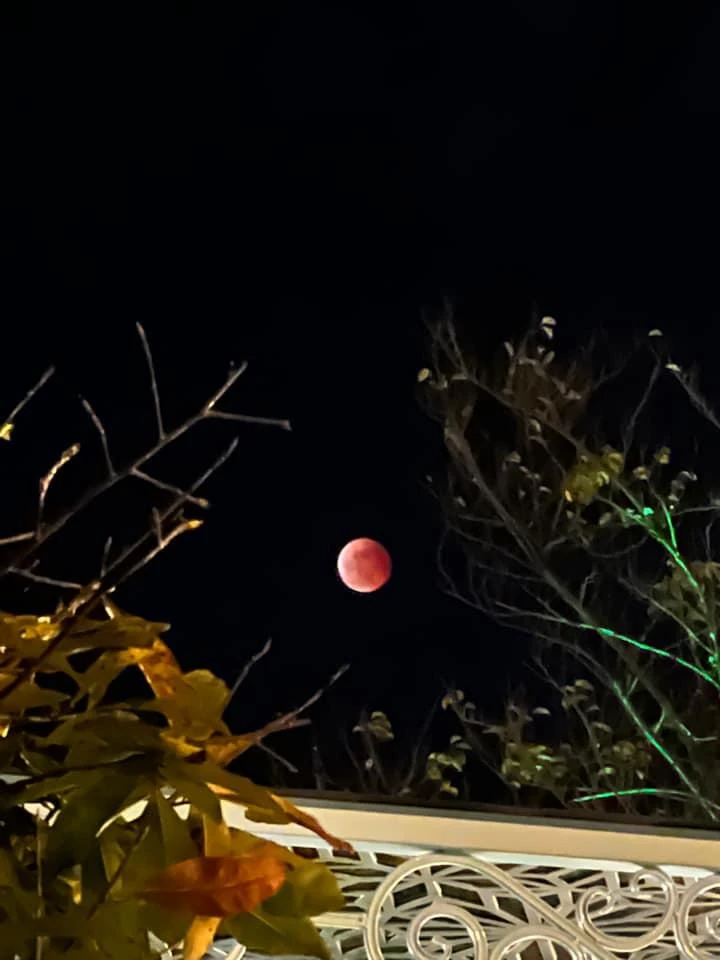 Nguyệt thực tại TP Đà Nẵng. Ảnh: FB