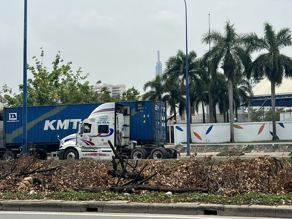 Có khoảng 300 cây xanh bị đốn bỏ. Ảnh: ĐÀO TRANG