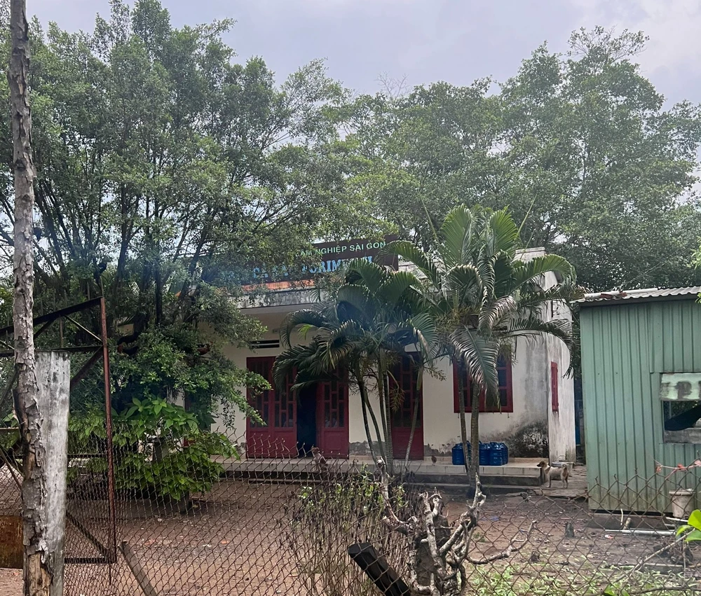 Khu đất Công ty CP Lâm nghiệp Sài Gòn đang tạm quản lý. Ảnh: CTV Khu đất Công ty CP Lâm nghiệp Sài Gòn đang tạm quản lý. Ảnh: CTV