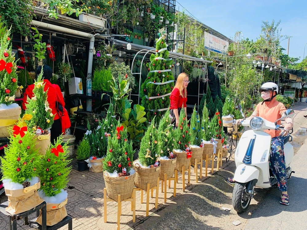 Giá thông tươi tiền triệu, vẫn bán vài nghìn cây mỗi mùa Noel