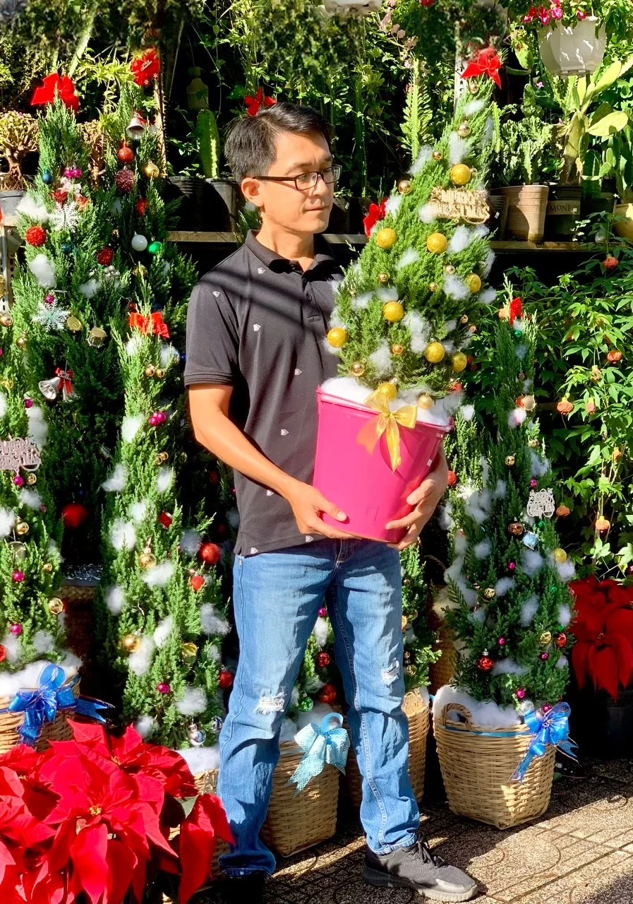 Thông tươi tiền triệu, bán vài nghìn cây mỗi mùa Noel