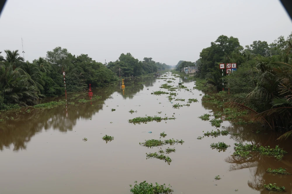 Đề xuất xây mới cầu Kênh Xáng Dọc, huyện Bình Chánh