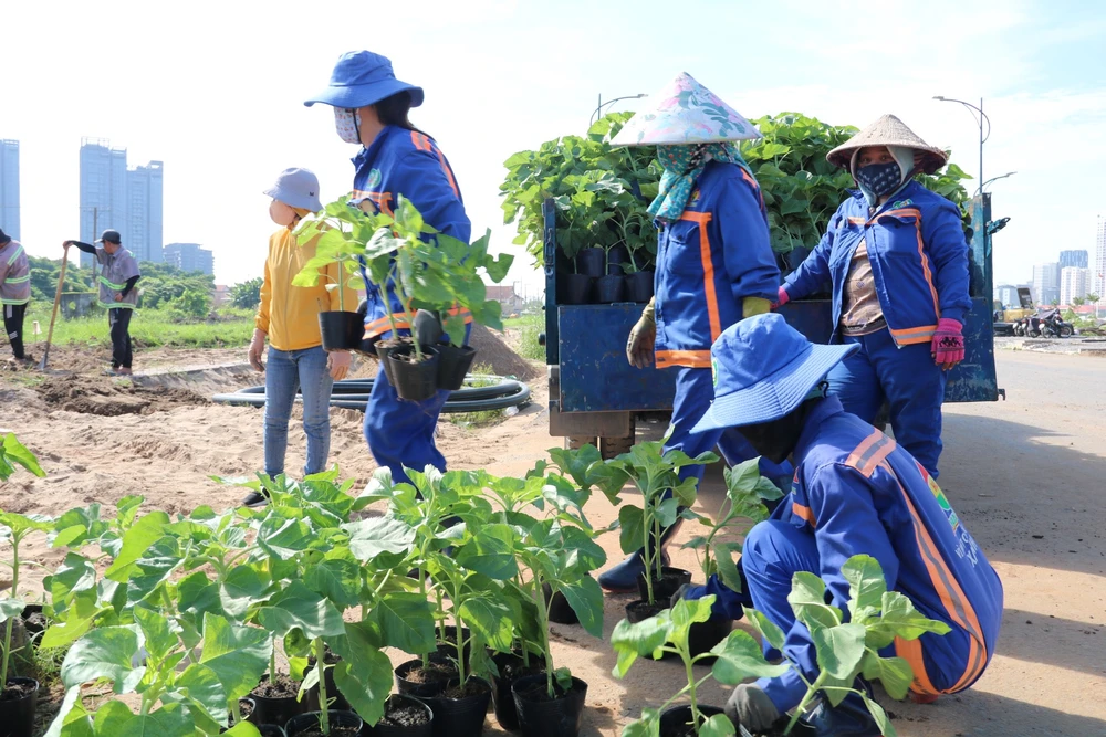 đài phun nước và hoa hướng dương khoe sắc