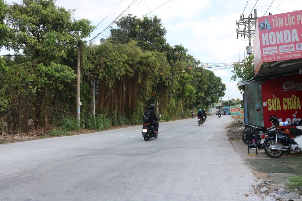 Đại học quốc gia TP.HCM