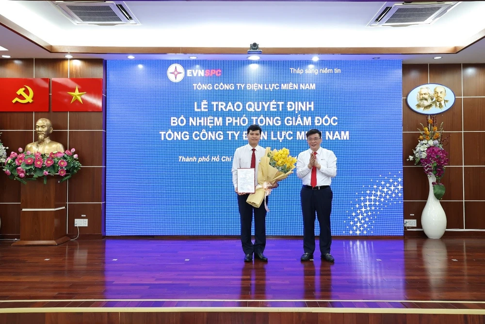 Điện lực Miền Nam