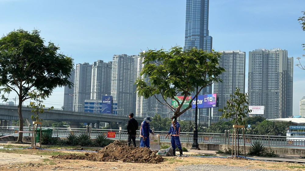 phố đêm Thảo Điền