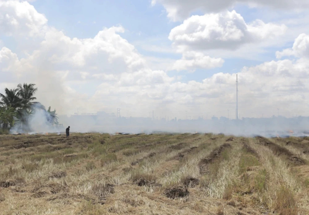 Nhiên liệu hàng không bền vững ở Việt Nam