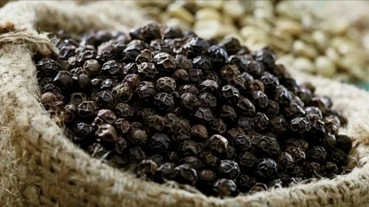 hiện chưa có căn cứ để khẳng định việc mất hàng xảy ra tại cảng Cát Lái, Tân cảng Sài Gòn