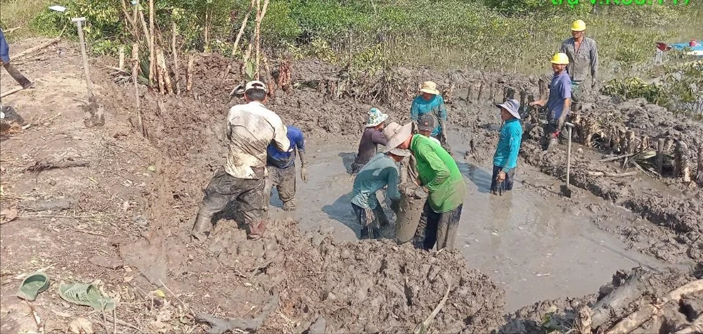 25 hộ dân tại Kênh 50, ấp Thiềng Liềng, xã đảo Thạnh An, huyện Cần Giờ đã chính thức được hòa lưới điện quốc gia.