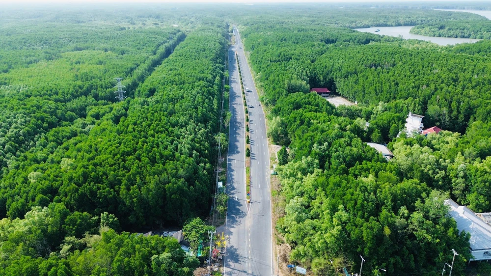 TP.HCM giao Tập đoàn VinGroup nghiên cứu lập hồ sơ đề xuất dự án đường sắt đô thị TP.HCM - Cần Giờ.