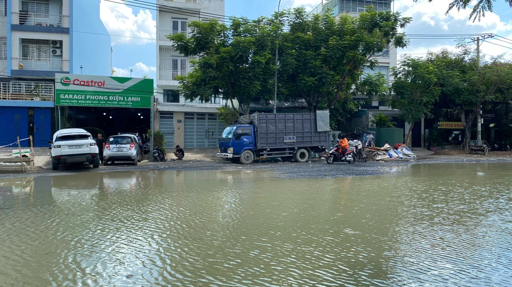2dang-thuy-tram-.jpg