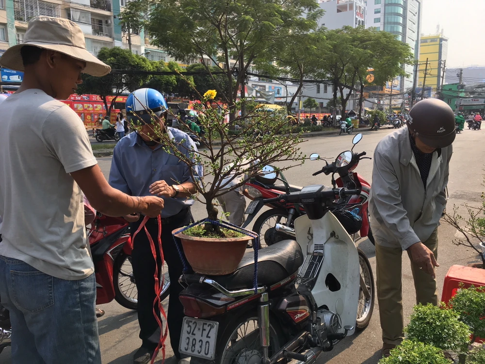 Hoa Tết ba miền thi nhau 'đọ sắc đep' ở TPHCM ảnh 7