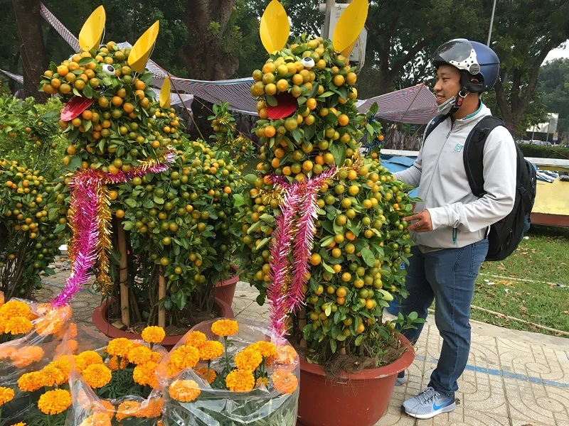 Hoa Tết ba miền thi nhau 'đọ sắc đep' ở TPHCM ảnh 5
