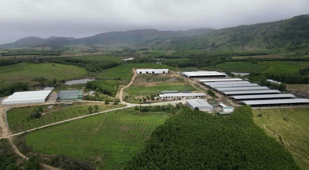 cho doanh nghiệp tạm ứng ngân sách