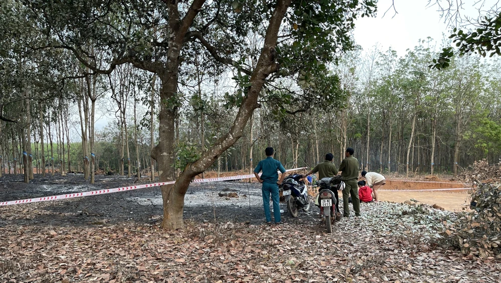 tử vong cạnh vườn điều