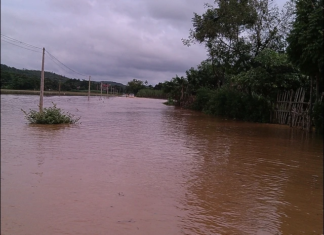 Bốn người chết, gần 2.000 ngôi nhà ngập sâu do mưa lũ ảnh 1