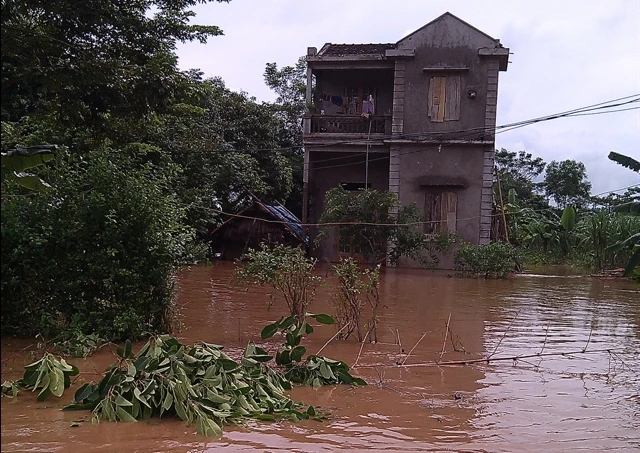 Bốn người chết, gần 2.000 ngôi nhà ngập sâu do mưa lũ ảnh 4