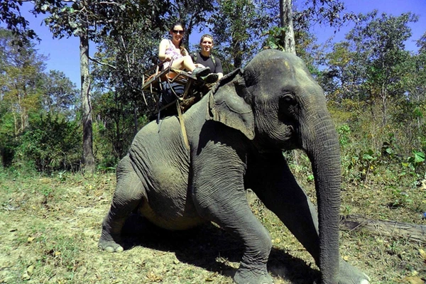 Đề nghị Thủ tướng dừng dự án thủy điện 850 tỉ ở Tây Nguyên ảnh 3