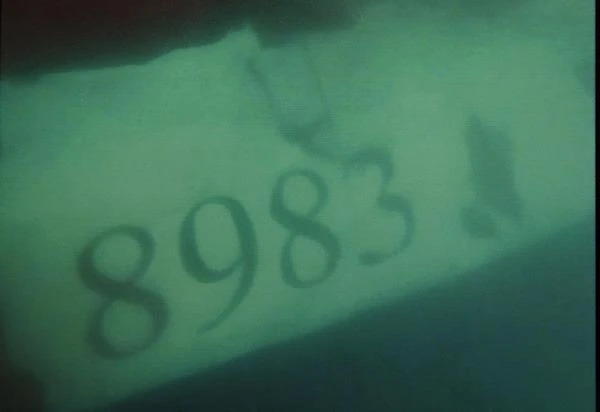 Thân vỏ máy bay ghi rõ số hiệu máy bay