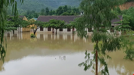 Lũ trên sông Gianh đang nhấn chìm hàng ngàn ngôi nhà - ảnh 2