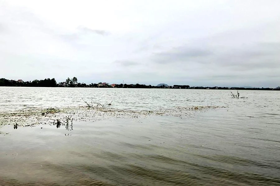 Mưa lũ kéo dài nhiều ngày khiến diện tích lúa của nhiều xã của huyện Thiệu Hóa ngập sâu trong nước. Ảnh: ĐẶNG TRUNG