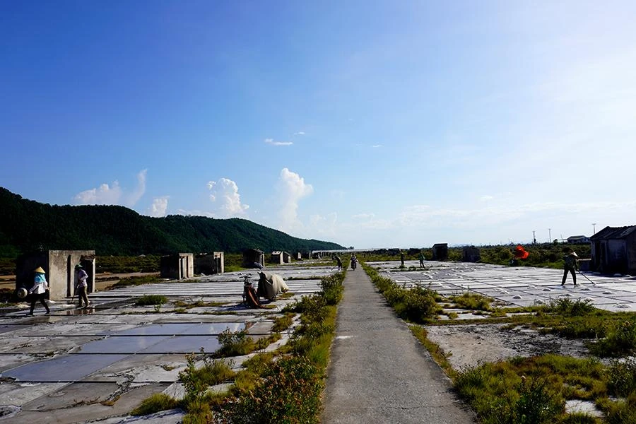 Diêm dân trên cánh đồng muối Hòa Lộc mong mỏi, năm nào cũng được giá muối như năm nay để họ sống được với nghề muối dù nặng nhọc vất vả, rang mình dưới cái nắng 40 độ C cũng xứng đáng. Ảnh: ĐẶNG TRUNG