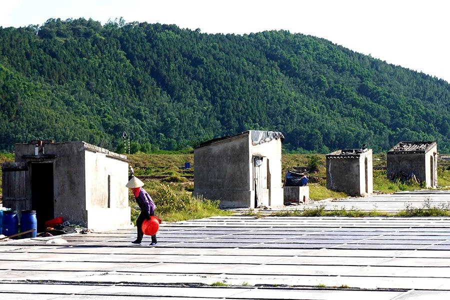 Mặc dù nghề muối không còn đủ sức nuôi nổi diêm dân, nhưng theo nhiều người làm muối họ làm thêm cho bớt nhớ nghề cha ông và cũng tranh thủ kiếm thêm thu nhập. Ảnh: ĐẶNG TRUNG