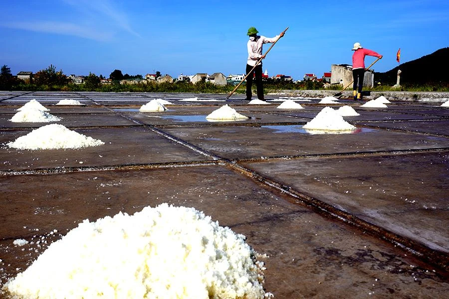 Theo ông Mo, nghề muối khác với những nghề còn lại, bởi vì trời càng nắng càng tốt, như thế sẽ tạo ra những hạt muối tinh trắng toát với chất lượng, độ mặn cao hơn so với bình thường. Ảnh: ĐẶNG TRUNG