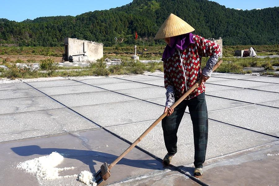 Lý do những người trẻ không còn mặn mà với nghề làm muối vì làm muối vất vả, nặng nhọc, trong khi giá muối thấp nên họ lần lượt rời làng quê tìm đường mưu sinh. Ảnh: ĐẶNG TRUNG