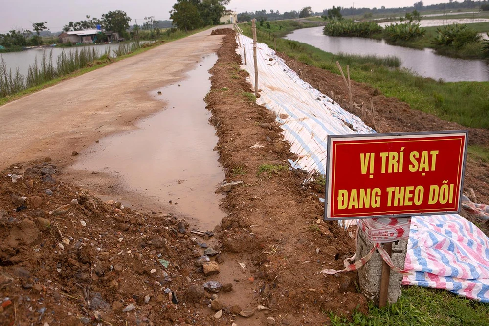 Đê tả sông Mã đoạn qua xã Hoàng Đại (TP Thanh Hóa) bị sụt lún kéo dài gần 1 km.